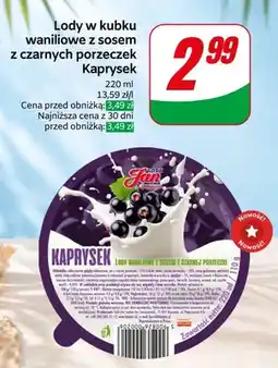 Dino Lody waniliowe z sosem z czarnych porzeczek Kaprysek Lody Jan oferta