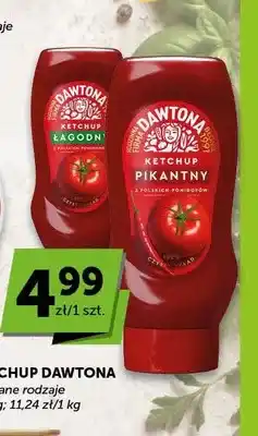 ABC Ketchup pikantny Dawtona oferta