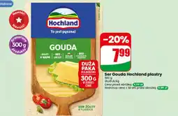 Dino Ser Hochland oferta