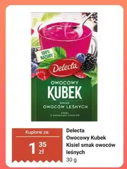 Dino Kisiel Delecta Owocowy Kubek smak owoców leśnych oferta
