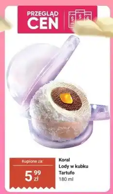 Dino Lody w kubku Koral Tartufo oferta