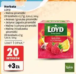 Intermarche Herbata LOYD oferta