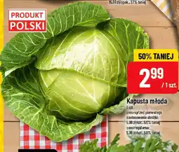 Polomarket Kapusta młoda oferta