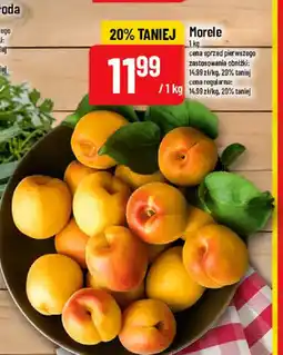 Polomarket Morele oferta