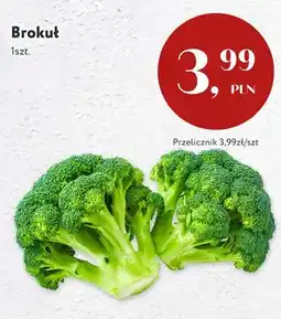 Market Point Brokuł oferta