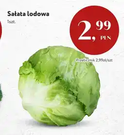 Market Point Sałata lodowa oferta