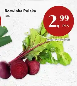 Market Point Botwinka polska oferta