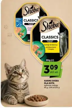 ABC Karma dla kota Sheba Classics w terynie z łososiem oferta