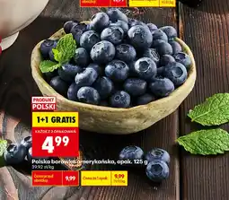 Biedronka Borówka amerykańska Polski oferta