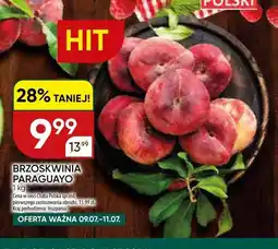 Chata Polska Brzoskwinia paraguayo Hiszpania oferta