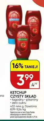 Chata Polska Ketchup łagodny Czysty Skład Dawtona oferta