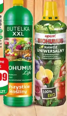 Dino Nawóz Biohumus Agrecol uniwersalny oferta