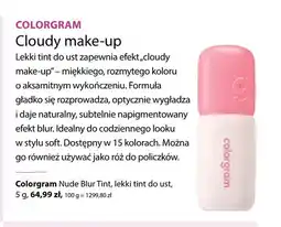 Hebe Lekki tint do ust Colorgram Nude Blur Tint oferta