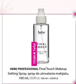 Hebe Spray do utrwalania makijażu Hebe Professional Final Touch Makeup Setting Spray oferta