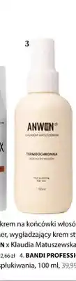 Hebe Mgiełka do włosów termoochronna Anwen x Klaudia Matuszewska oferta