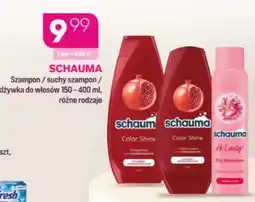 Koliber drogerie Szampon do włosów Schauma Color Shine oferta
