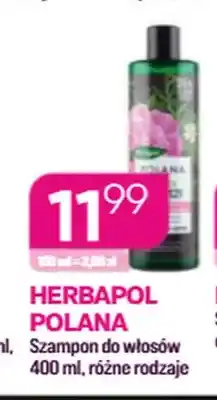 Koliber drogerie Szampon do włosów Herbapol Polana oferta
