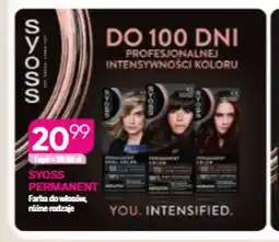 Koliber drogerie Farba do włosów Syoss Permanent oferta