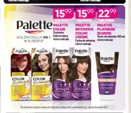 Koliber drogerie Szampon koloryzujący Palette Color oferta