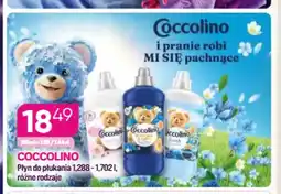 Koliber drogerie Płyn do płukania Coccolino oferta