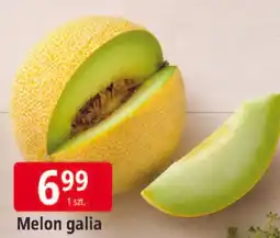 E.Leclerc Melon galia oferta