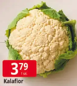 E.Leclerc Kalafior oferta