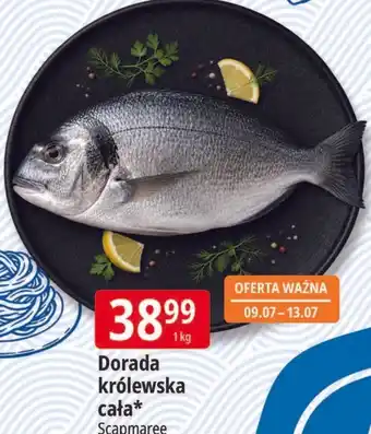 E.Leclerc Dorada królewska cała Scapmaree oferta