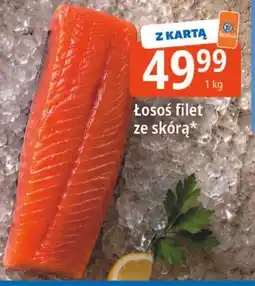 E.Leclerc Łosoś filet ze skórą oferta