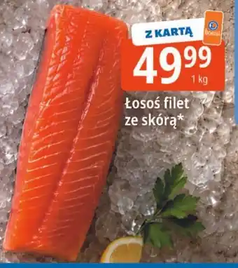 E.Leclerc Łosoś filet ze skórą oferta