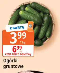 E.Leclerc Ogórki gruntowe oferta