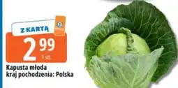 E.Leclerc Kapusta młoda oferta