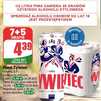 Dino Piwo Żywiec oferta