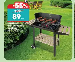 Biedronka TIME FOR GRILL Grill ogrodowy węglowy oferta