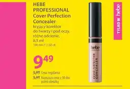 Hebe Hebe Professional Cover Perfection Concealer kryjący korektor do twarzy i pod oczy oferta