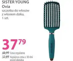 Hebe Sister Young Ovia szczotka do włosów oferta