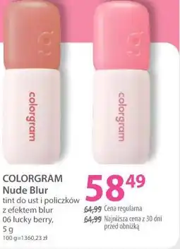 Hebe COLORGRAM Nude Blur tint do ust i policzków z efektem blur 06 lucky berry oferta