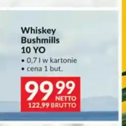 Makro Whiskey Bushmills 10 YO oferta