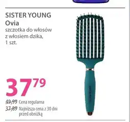 Hebe Szczotka do włosów z włosiem dzika Sister Young Ovia oferta