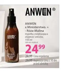 Hebe Mgiełka zwiększająca objętość włosów Róża-Malina Anwen x Ministerstwo oferta