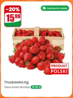 Dino Truskawka polska oferta