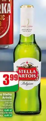 Dino Piwo Stella Artois oferta