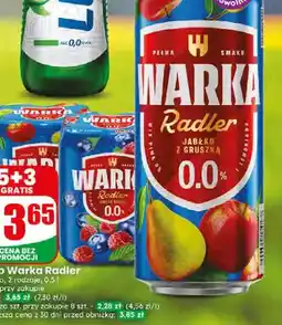 Dino Piwo bezalkoholowe Warka Radler Owoce Leśne oferta