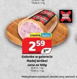 Delfin Golonko w galarecie Madej Wróbel oferta