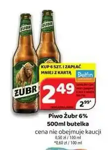 Delfin Piwo Żubr 6% oferta