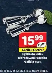 Delfin Łyżka do kulek nierdzewna Practico Galicja oferta