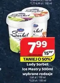 Delfin Lody Sorbet cytrynowy Ice Mastry oferta