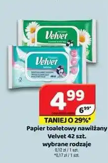 Delfin Papier toaletowy nawilżany Velvet Intima oferta