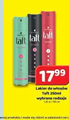 Delfin Lakier do włosów Taft Volume oferta