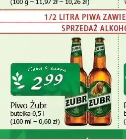 Cezar Delikatesy Piwo Żubr oferta