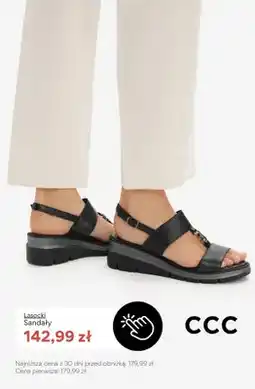 CCC Sandały Lasocki oferta